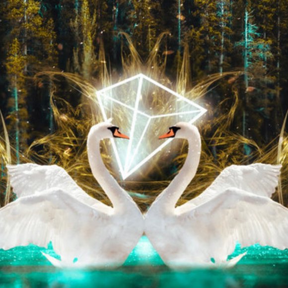 Meet your Posher, Mel - Picture 1 of 1